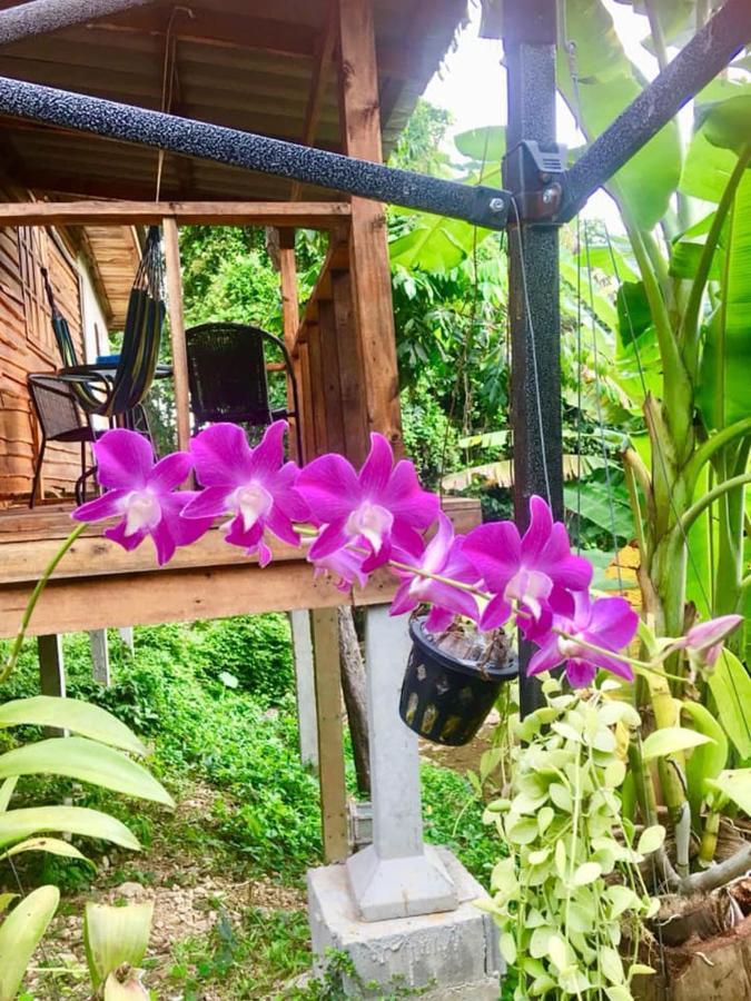 Готель Lanta A Toi House Ко-Ланта Екстер'єр фото