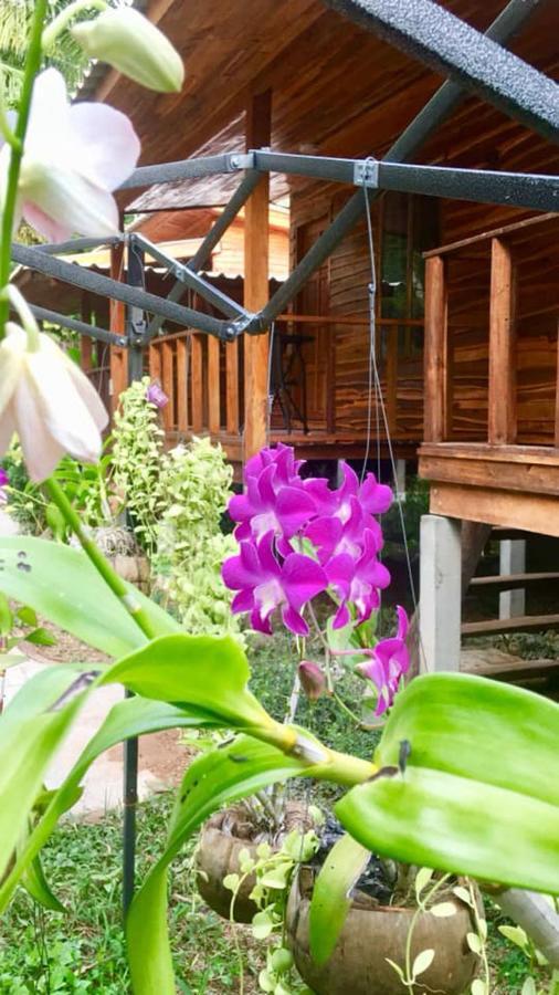 Готель Lanta A Toi House Ко-Ланта Екстер'єр фото